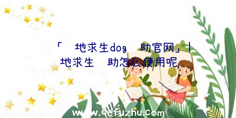 「绝地求生dog辅助官网」|绝地求生辅助怎么使用呢